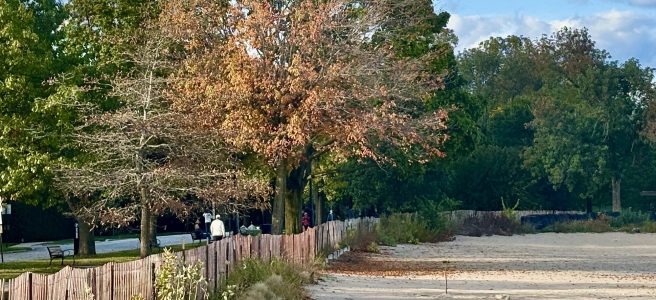 Fall colors at Evanston beach