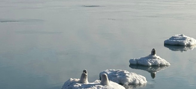 Ice formations on Lake Michigan.